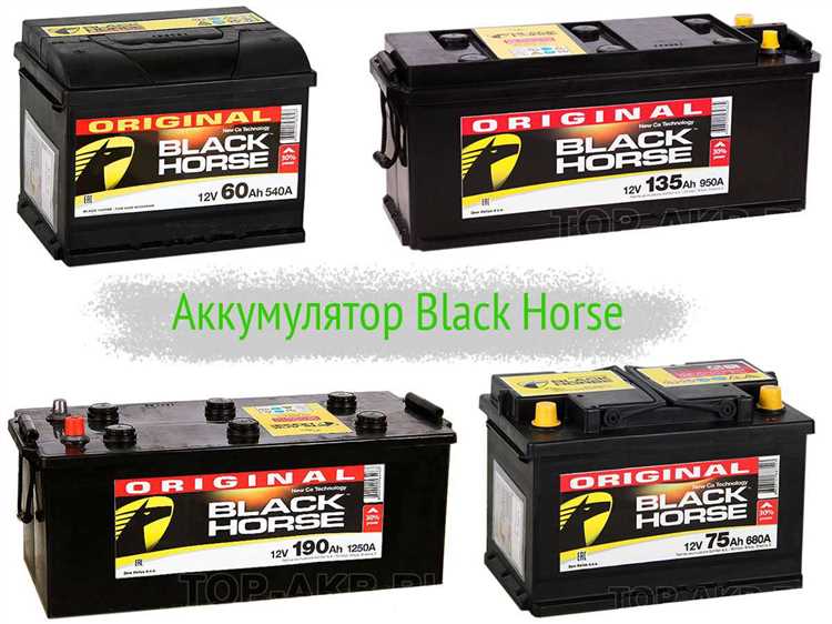 Обзор аккумуляторов Black Horse виды производители отзывы владельцев